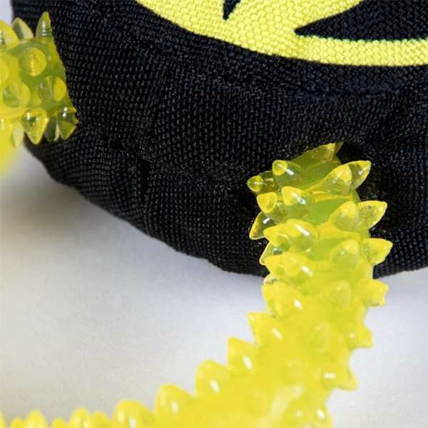 Koiranlelu Batman