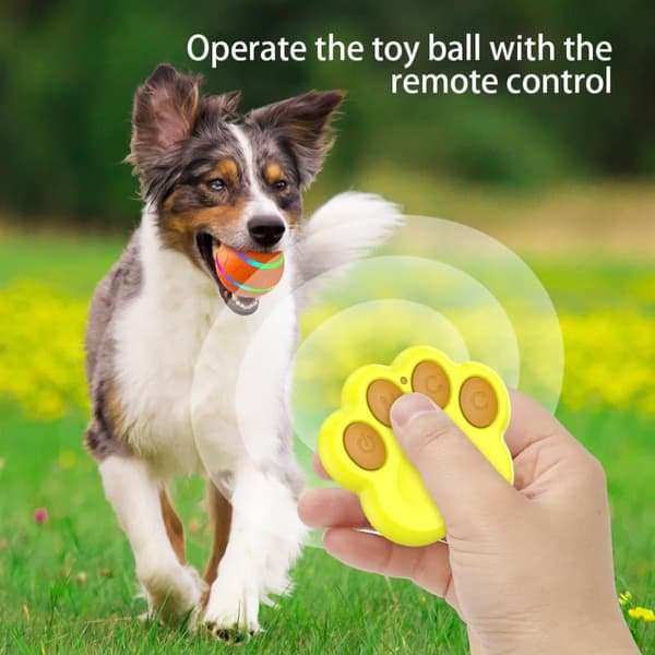 Activation Ball Interactive - Rysteboldlegetøj til små, mellemstore og store hunde