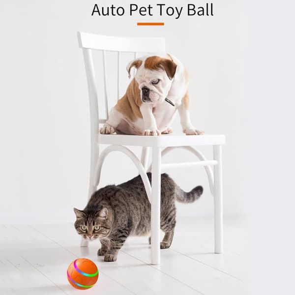 Activation Ball Interactive - Rysteboldlegetøj til små, mellemstore og store hunde