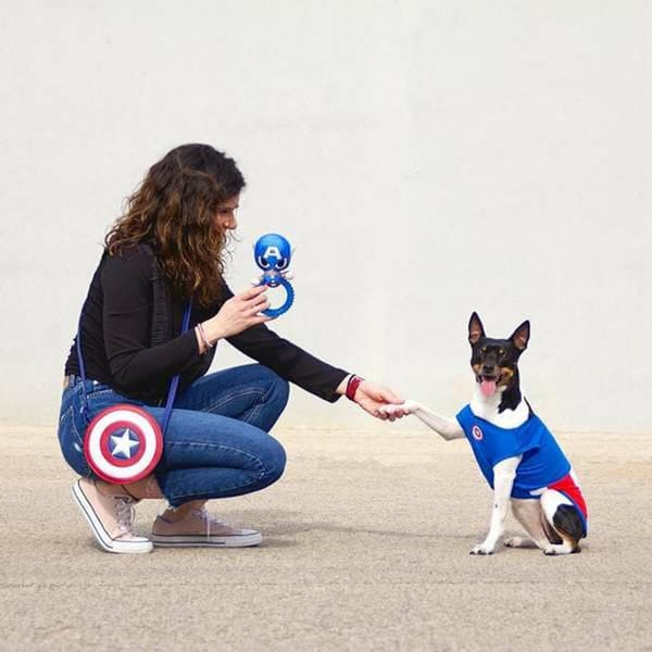 Koiranlelu The Avengers