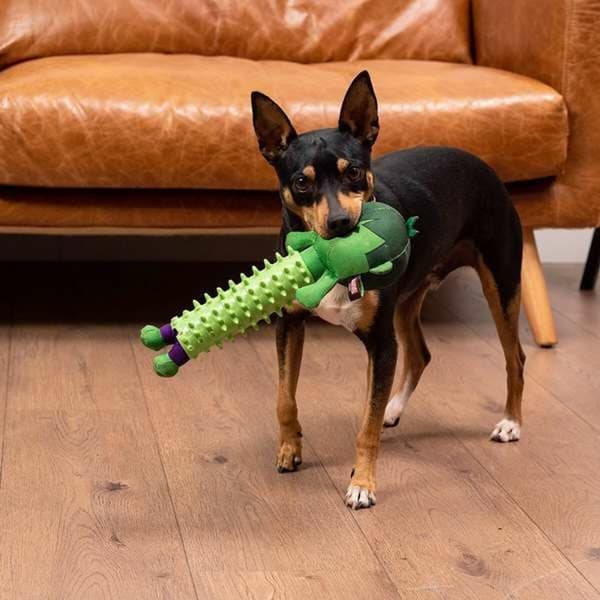 Legetøj til hunde The Avengers