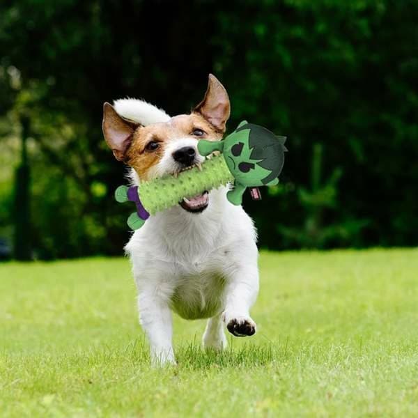 Legetøj til hunde The Avengers