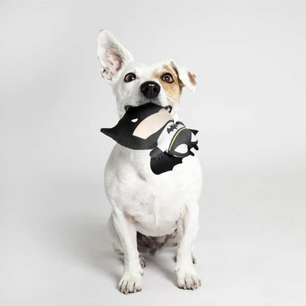 Legetøj til hunde Batman