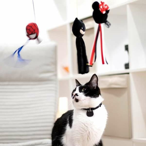 Legetøj til katte Spider-Man Rød 3,0 x 7,0 x 46,0 cm Plastik