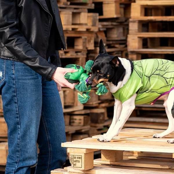 Legetøj til hunde The Avengers