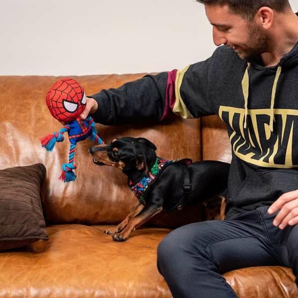 Legetøj til hunde Spider-Man