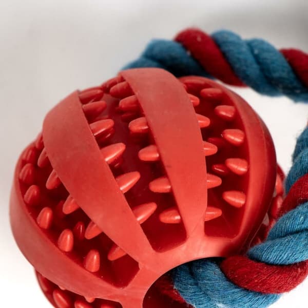 Hund Bidering Spider-Man 10 x 30 x 7 cm