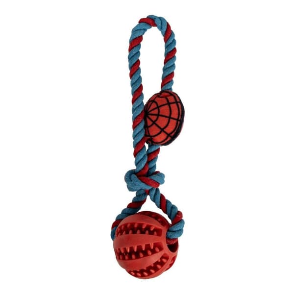 Hund Bidering Spider-Man 10 x 30 x 7 cm