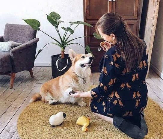 Emma Ankka Vinkuva Lelu Happy Farm. Valitse koko: S