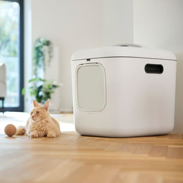 Kattlåda Rotho Biala XL Vit Plast