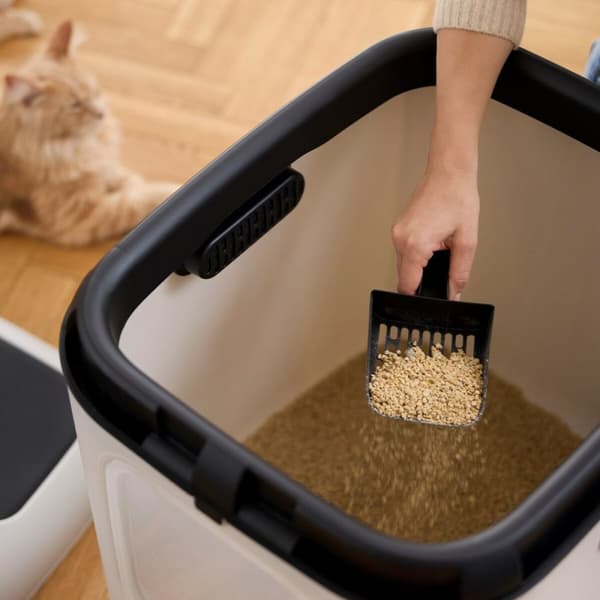 Kissan hiekkalaatikko Rotho Biala XL Valkoinen Muovinen