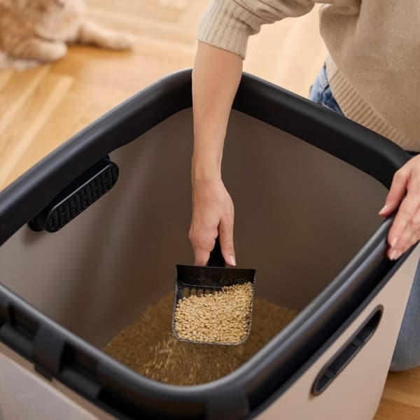 Kattebakke Rotho Biala XL Cappuccino Plastik