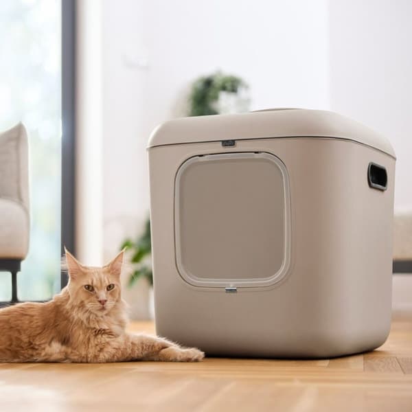 Kattebakke Rotho Biala XL Cappuccino Plastik