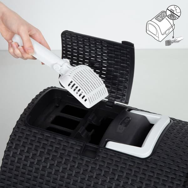 Kattebakke Curver Antracit 51 x 38,5 x 39,5 cm Plastik (Plastik)