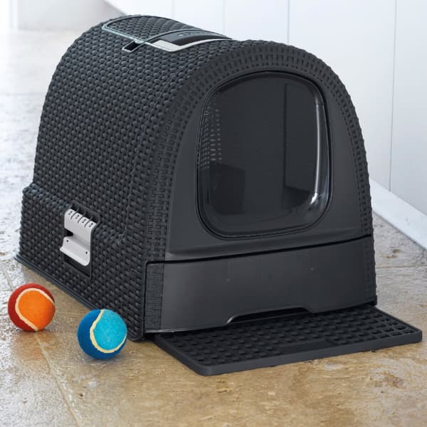 Kattebakke Curver Antracit 51 x 38,5 x 39,5 cm Plastik (Plastik)