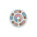 Miniatyrbild 10 av 11: Interaktivt Rundt Hundpussel