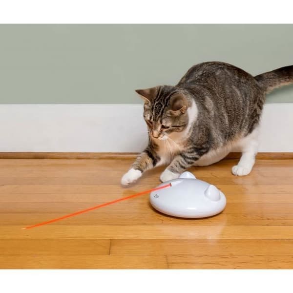 ZIP™ kattlaserleksak