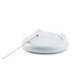 Miniatyrbild 1 av 3: ZIP™ kattlaserleksak