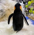 Miniatyrbild 3 av 4: Djur - K11188C - Instincts Snow Mates Penguin Pedro Mjuk plysch att tugga för hundar - Små, olika färger