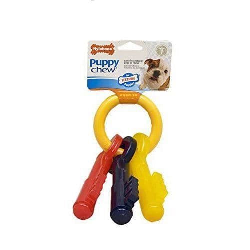 Nylabone valpnycklar första tänder leksak, stor