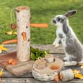 Miniatyrbild 2 av 6: Relaxdays Kaninträ detektör &amp; intelligent leksak, set med 2 tillbehör, trä, passar även din marsvin, natur