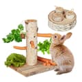 Miniatyrbild 1 av 6: Relaxdays Kaninträ detektör &amp; intelligent leksak, set med 2 tillbehör, trä, passar även din marsvin, natur
