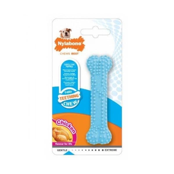 Nylabone dental chew valp tugg leksak