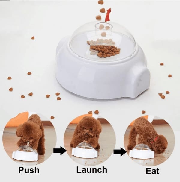 Creative Treat aktivitetsleksaker för hundar och katter