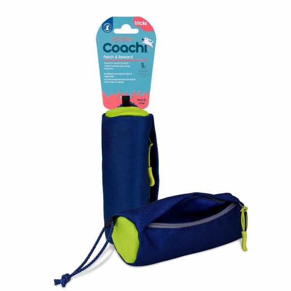 Training toy Coachi Blå