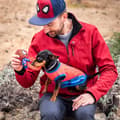 Miniatyrbild 10 av 11: Hundleksak Spider-Man   Röd 7,0 x 12,5 x 18,5 cm (4 antal)