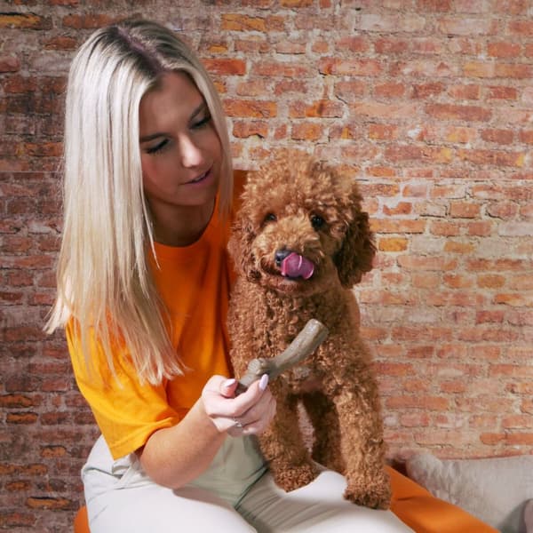 Tuggleksak för hundar Nylabone Brun Jordnötssmör M