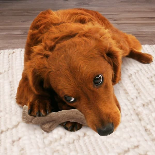 Tuggleksak för hundar Nylabone Brun Jordnötssmör M