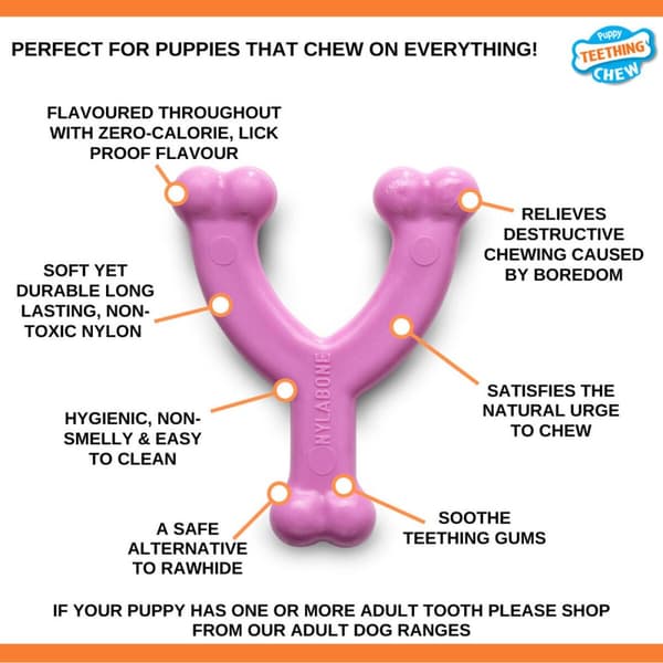 Tuggleksak för hundar Nylabone WISHBONE Rosa Kyckling XS