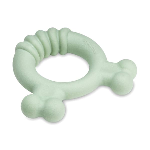Tuggleksak för hundar Nylabone SENSORY TACTILE RING Grön Jordnötssmör Kyckling S