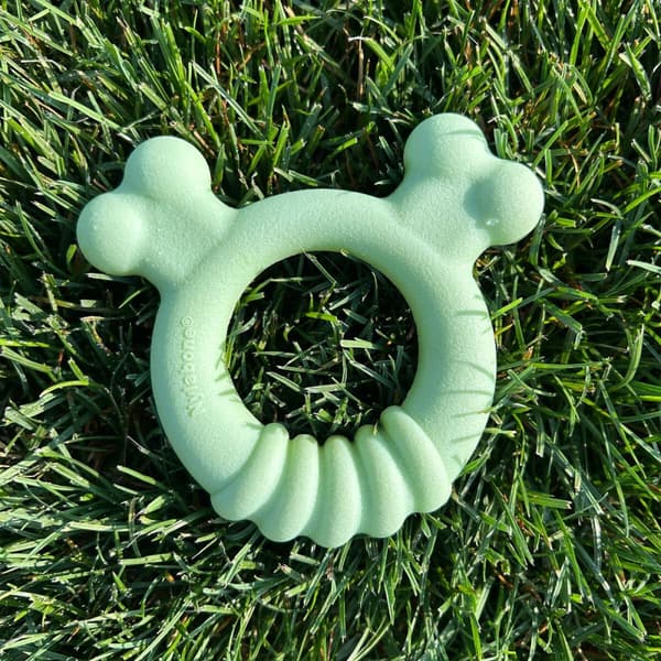 Tuggleksak för hundar Nylabone SENSORY TACTILE RING Grön Jordnötssmör Kyckling S