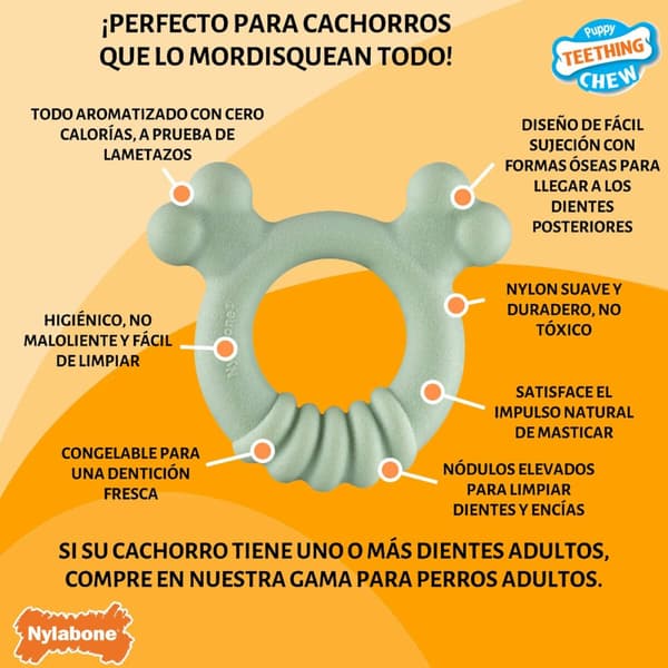 Tuggleksak för hundar Nylabone SENSORY TACTILE RING Grön Jordnötssmör Kyckling S