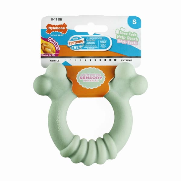 Tuggleksak för hundar Nylabone SENSORY TACTILE RING Grön Jordnötssmör Kyckling S