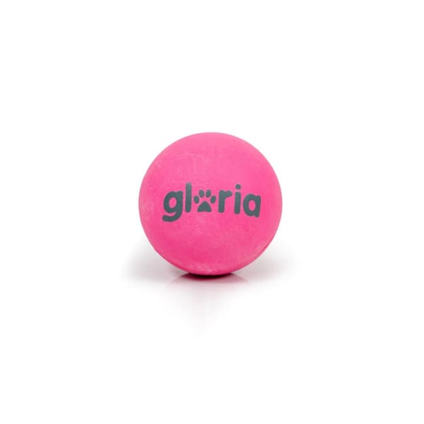 Boll till husdjur Gloria PLAY AND RUN Grå Skum TPR S