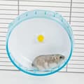 Pikkukuva 3 / 4: Hamsterilelu Kerbl Sininen Muovinen