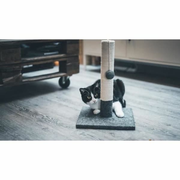 Kradsebrætter til katte Tyrol Grå