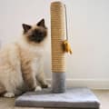 Miniatyrbillede 4 af 4: Kradsebrætter til katte Tyrol