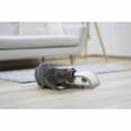 Miniatyrbillede 2 af 2: Kradsebrætter til katte Kerbl Grå