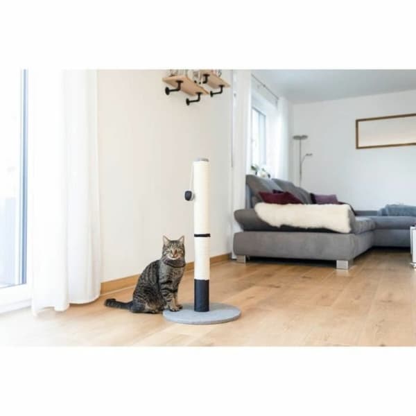 Kradsebrætter til katte Kerbl