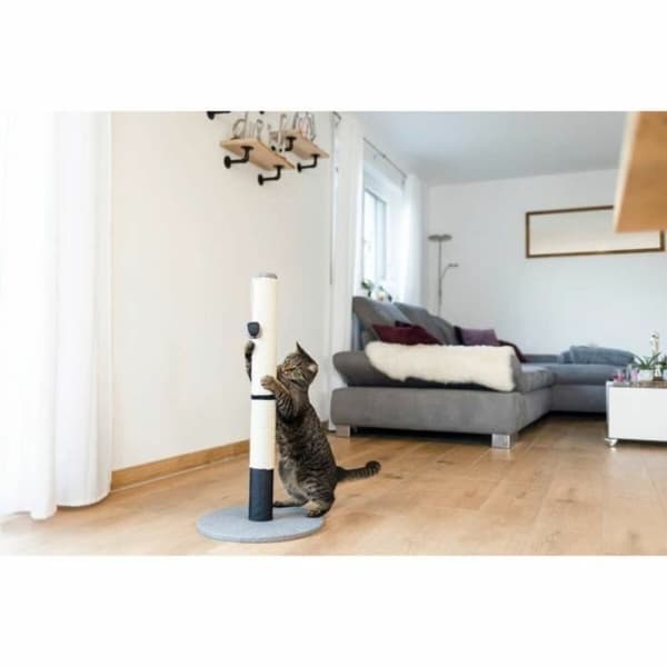 Kradsebrætter til katte Kerbl