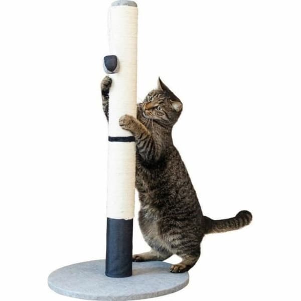 Kradsebrætter til katte Kerbl