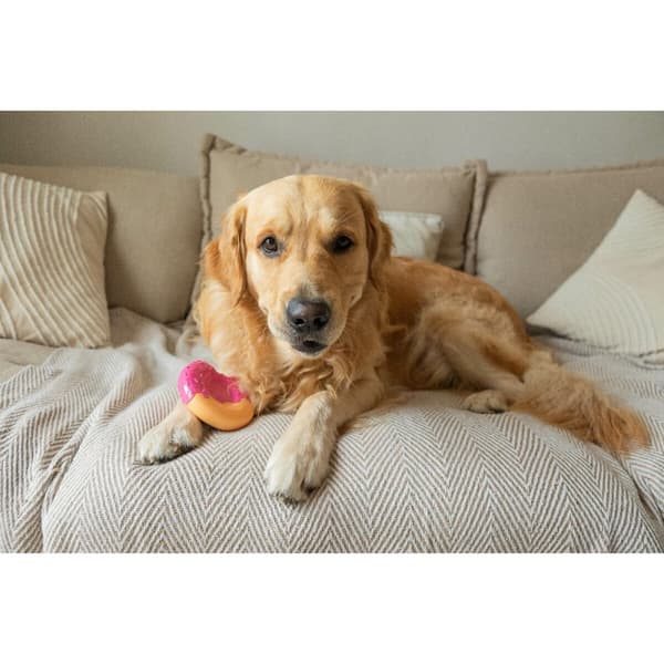 Hundleksak Nylabone Rosa Bacon L