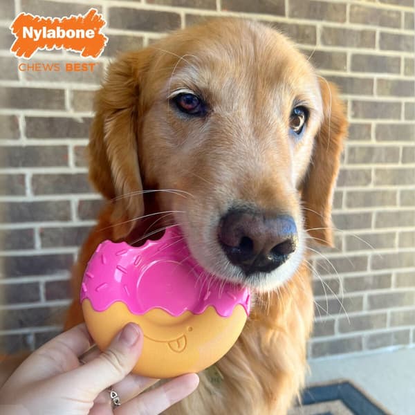 Hundleksak Nylabone Rosa Bacon L