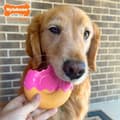 Miniatyrbild 1 av 4: Hundleksak Nylabone Rosa Bacon L