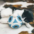 Miniatyrbillede 4 af 4: Kradsebrætter til katte Aimé