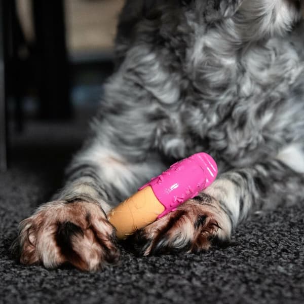 Koiranlelu Nylabone Pinkki Bacon M